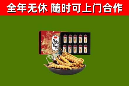 疏附回收冬虫夏草价格